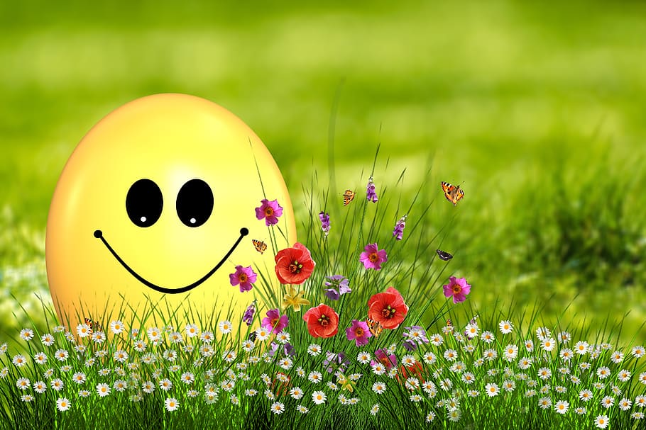 Pasqua, uovo, uovo di Pasqua, smilie, sorriso, sorridere, gioia, fiori, primavera, mazzo, colorato, tulipani, mazzo di fiori, pianta, viola, colore, fiori di primavera, grazie, fioritura, erba, prato, campo, fiore, pianta fiorita, freschezza, giallo, colore verde, natura, bellezza nella natura, fragilità, terra, nessuno, crescita, vulnerabilità, avvicinamento, messa a fuoco selettiva, faccina antropomorfa, giorno, all'aperto, testa di fiore, 5K