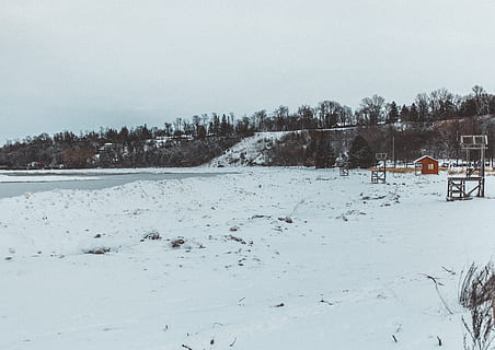 Canadá, goderich, neve, inverno, de praia, arvores, temperatura fria, árvore, plantar, scenics - natureza, beleza na natureza, terra, natureza, cena tranquila, tranquilidade, céu, cor branca, campo, cena não urbana, ninguém, cobertura, meio Ambiente, panorama, ao ar livre, nevando, árvore conífera, 5K, CC0, domínio público, royalty free