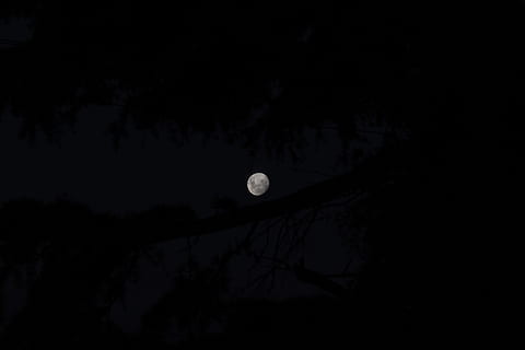 lluna plena, naturalesa, a l'aire lliure, nit, astronomia, espai, espai exterior, univers, lluna, mar, oceà, aigua, eclipsi, Eclipse de lluna, cel, horitzó, línia de costa, silueta, focs artificials, pont, fosc, cap gent, vista d’angle baix, bellesa a la natura, tranquil·litat, Lluna planetària, escenics - natura, còpia espai, cercle, arbre, escena tranquil·la, llum de la lluna, 5K, CC0, domini públic, lliure de regalies