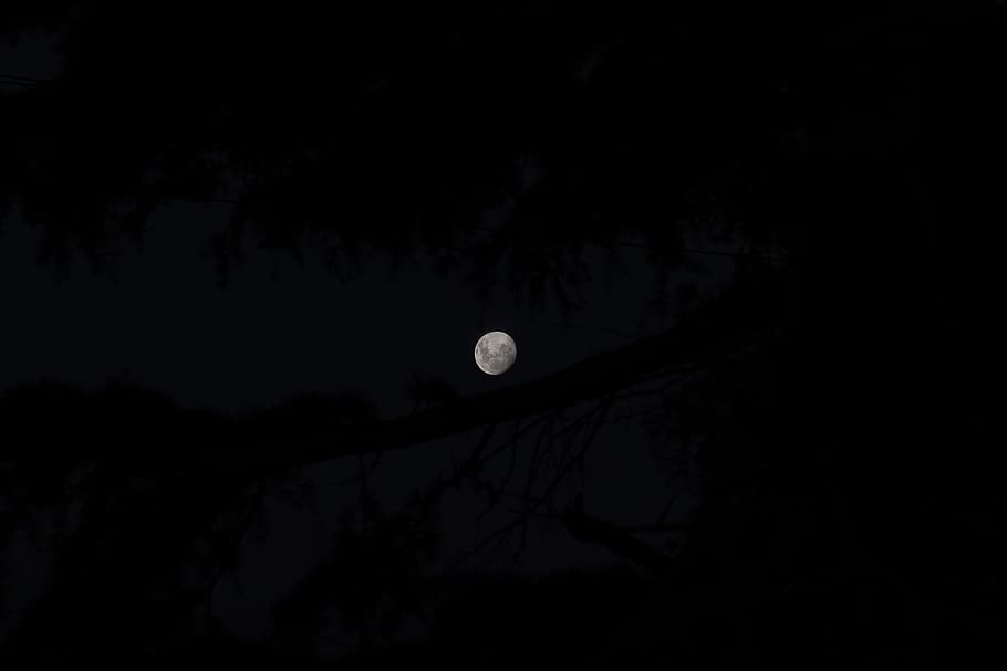 lluna plena, naturalesa, a l'aire lliure, nit, astronomia, espai, espai exterior, univers, lluna, mar, oceà, aigua, eclipsi, Eclipse de lluna, cel, horitzó, línia de costa, silueta, focs artificials, pont, fosc, cap gent, vista d’angle baix, bellesa a la natura, tranquil·litat, Lluna planetària, escenics - natura, còpia espai, cercle, arbre, escena tranquil·la, llum de la lluna, 5K