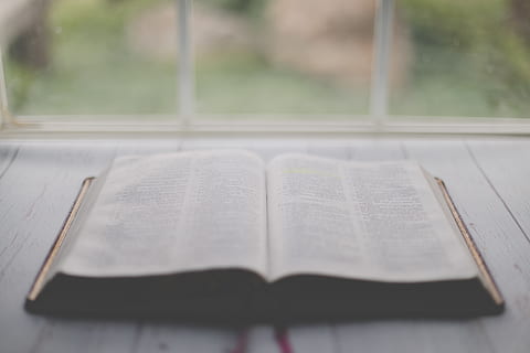 masada kitap, kitap, yayın, açık, seçici odak, pencere, içeriye, natürmort, sayfa, kâğıt, kapatmak, insansız, cam malzemesi, Eğitim, tablo, din, gün, yokluk, okuma, gazete, Uzmanlık, 5K, CC0, kamu malı, telif ücretsiz