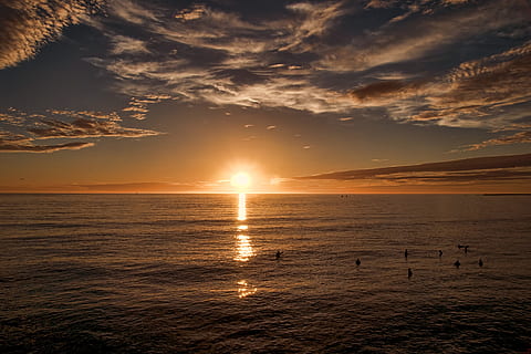 Sonnenuntergang, Strand, Fackel, Licht, Sonnenlicht, Natur, draußen, Ozean, Vogel, Tier, Himmel, Dämmerung, roter Himmel, Meerseite, ca, Vereinigte Staaten von Amerika, Surfer, Kalifornien, Sonnenaufgang, Sonne, Wasser, Szenen - Natur, Schönheit in der Natur, Meer, ruhige Szene, Ruhe, wolke - himmel, Horizont über Wasser, Reflexion, Horizont, idyllisch, orange Farbe, keine Leute, Ufergegend, 4K, CC0, gemeinfrei, lizenzfrei