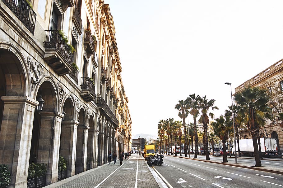 arquitectura, edifici, infraestructura, estructura, establiment, carretera, vehicle, transport, arbres, llum, publicació, ciutat, arbre, carrer, manera de transport, cotxe, estructura construïda, cel, exterior de l'edifici, automòbil, planta, cel clar, Palmera, naturalesa, direcció, vehicle terrestre, dia, el camí a seguir, cap gent, carrer de la ciutat, a l'aire lliure, perspectiva decreixent, treelined, 5K