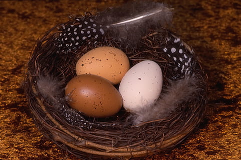 easter eggs, easter nest, easter, decoration, spring, easter theme, cute, easter decoration, deco, easter greetings, color, bird's nest, nest, egg, food, food and drink, animal egg, basket, container, holiday, no people, animal nest, freshness, easter egg, brown, still life, close-up, celebration, fragility, vulnerability, healthy eating, indoors, 5K, CC0, public domain, royalty free