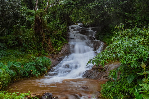 rio, cercado, verde, folheado, arvores, plantar, árvore, terra, movimento, floresta, crescimento, beleza na natureza, scenics - natureza, natureza, Exposição longa, agua, ninguém, cor verde, Rocha, cascata, rock - objeto, dia, cena não urbana, movimento borrado, água corrente, ao ar livre, floresta tropical, fluindo, queda d'água, poder na natureza, 5K, CC0, domínio público, royalty free