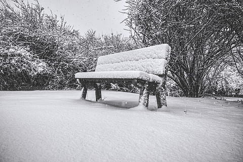 banc, neu, hivern, fred, naturalesa, arbre, solitari, parc, fusta, a l'aire lliure, la soledat, seure, nevat, romàntic, congelat, temperatura de fred, planta, seient, dia, camp, cap gent, terra, cobertura, bellesa a la natura, arbre nu, tranquil·litat, nevar, absència, clima extrem, Banc del parc, vent de neu, roba calenta, 5K, CC0, domini públic, lliure de regalies