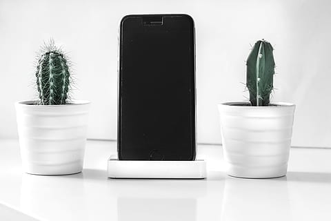 post-2016, post -2016 iphone, plantes de cactus, iphone, moll, stand, cactus, suculent, planta en test, planta, planta d'interior, interior, decoració, blanc, brillant, primer pla, tecnologia, smartphone, / cactus, Wannabe minimalista, telèfon, test de flor, taula, negocis, oficina, escriptori, model - object, fons, material de fusta, ordinador, flor, modern, naturalesa, idees, a l'interior, cap gent, creativitat, disseny, 5K, CC0, domini públic, lliure de regalies