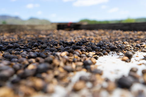 Cuba, Viñales, messa a fuoco selettiva, natura, nessuno, grande gruppo di oggetti, livello di superficie, giorno, abbondanza, all'aperto, cibo e bevande, cibo, pietra - oggetto, avvicinamento, solido, terra, cielo, ciottolo, pietra, colore nero, roccia, nuvola - cielo, ghiaia, 5K, CC0, dominio pubblico, privo di copyright