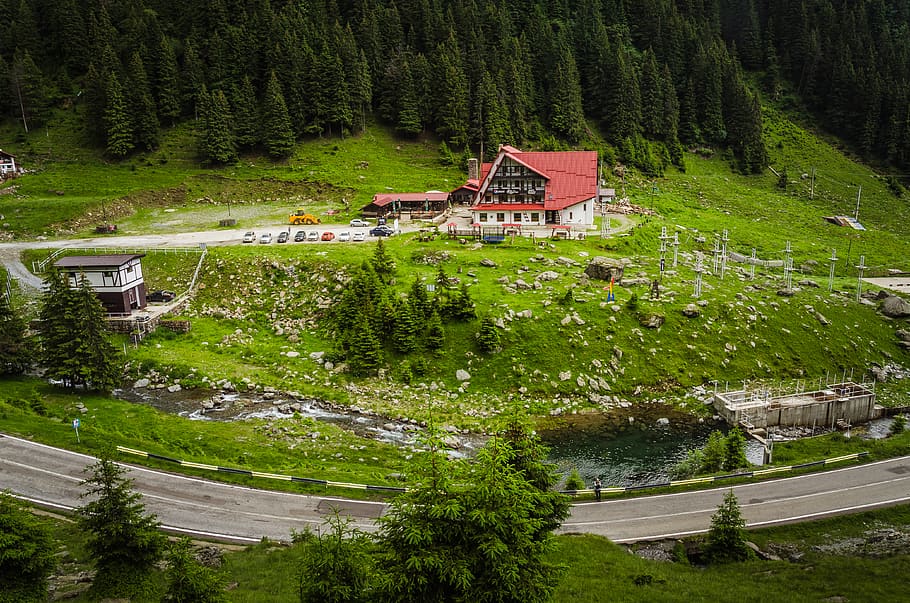 casa, envoltat, arbres, edifici, romania, rural, bosc, arbre, naturalesa, carretera, transfagarasan, habitatge, casa de camp, aparcament, hotel, remot, muntanya, planta, conífera, flora, vora del camí, arquitectura, exterior de l'edifici, estructura construïda, color verd, bellesa a la natura, vista d’angle alt, cap gent, terra, aigua, dia, destinacions de viatge, paisatge, a l'aire lliure, arbre de coníferes, 4K