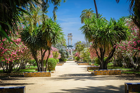 yeşil ağaçlar, açık havada, çardak, Bahçe, sevilla, ispanya, mobilya, Bank, bitki, park, ağaç, yaz, kaldırım taşı, Arecaceae, Palmiye, sundurma, anıt, columbus, avlu, doğa, veranda, ileriye giden yol, mimari, gün, yön, yapılı yapı, patika, büyüme, gökyüzü, insansız, gölge, Kent, Güneş ışığı, dış yapı, tropikal iklim, treelined, 5K, CC0, kamu malı, telif ücretsiz