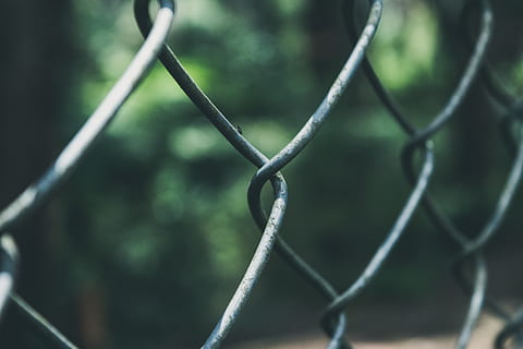 Mesh, Gitter, Zaun, Schutz, Sicherheit, Maschendrahtzaun, Grenze, Barriere, keine Leute, Metall, Fokus auf den Vordergrund, Nahansicht, Tag, Natur, Vollbild, Draht, draußen, selektiver Fokus, Maschendraht, Hintergründe, grüne Farbe, verflochten, 4K, CC0, gemeinfrei, lizenzfrei