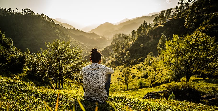 foto, persona, seduta, erba, avventura, vista posteriore, alba, drammatico, ambiente, foresta, ora d'oro, campo d'erba, collina, paesaggio, montagne, natura, scenario, panoramico, giro turistico, sedersi, alberi, natura selvaggia, retrovisore, pianta, una persona, attività di svago, montagna, terra, bellezza nella natura, stili di vita, albero, persone reali, scenics - natura, colore verde, la tranquillità, adulto, crescita, solitudine, all'aperto, guardando a vista, 5K