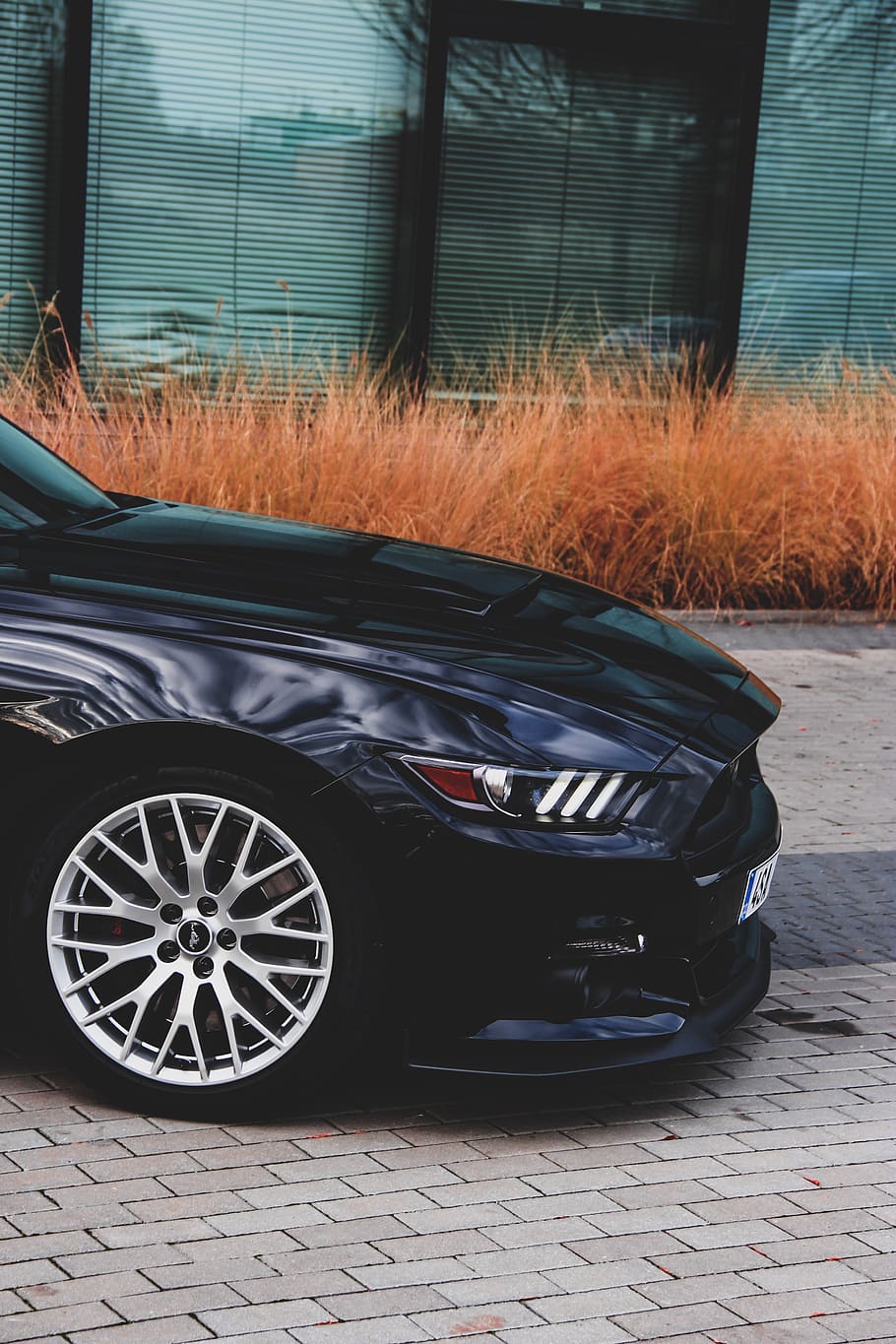 sort bil, bil, automobil, køretøj, transportmidler, talte, maskine, dæk, hjul, legeringshjul, bilhjul, mustang, sportsvogn, coupe, grime, gear, Brun, detalje, Ford, ydeevne, mustang gt, transportform, motor køretøj, land køretøj, ingen mennesker, dag, udendørs, arkitektur, bygget struktur, stationær, rejse, bygning udvendig, gade, natur, by, vindue, plante, garage, 5K