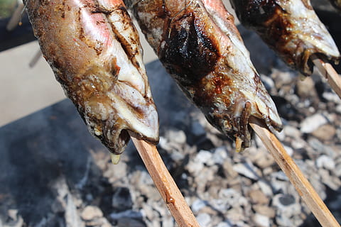 menjar peix, bon divendres, Pasqua, creu, cristià, símbol, menjar i beguda, menjar, carn, a la graella, primer pla, frescor, cap gent, Barbacoa, benestar, dia, centrar-se en primer pla, vista d’angle alt, animal, pinxo, preparació, llest per menjar, alimentació saludable, calor - temperatura, a l'aire lliure, preparar el menjar, 5K, CC0, domini públic, lliure de regalies