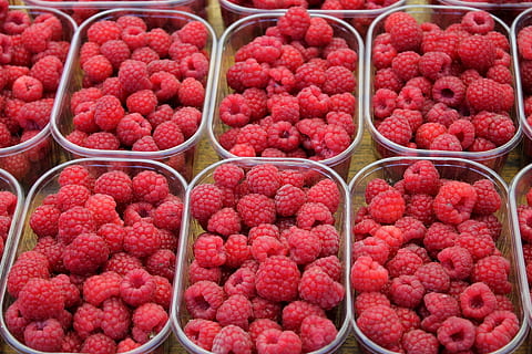 gerds, fruita, baia, menjar, postres, naschmarkt, viena, vermell, tassa, saludable, deliciós, menjar i beguda, frescor, alimentació saludable, fruites de baies, abundància, benestar, cap gent, gran grup d'objectes, contenidor, marc complet, venda al detall, costat a costat, vista d’angle alt, mercat, a la venda, fons, madur, 1080P, CC0, domini públic, lliure de regalies