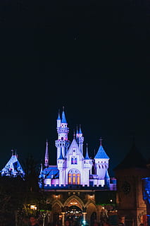 fundo, natureza, papel de parede, Estrela, noite, parque da terra de disney, mágico, Magia, Cinderela, Disneyland, Disneylândia, Disney, castelo, exterior do edifício, iluminado, estrutura construída, arquitetura, local de culto, crença, religião, céu, destinos de viagem, construção, copie o espaço, espiritualidade, turismo, viagem, cidade, ninguém, 5K, CC0, domínio público, royalty free