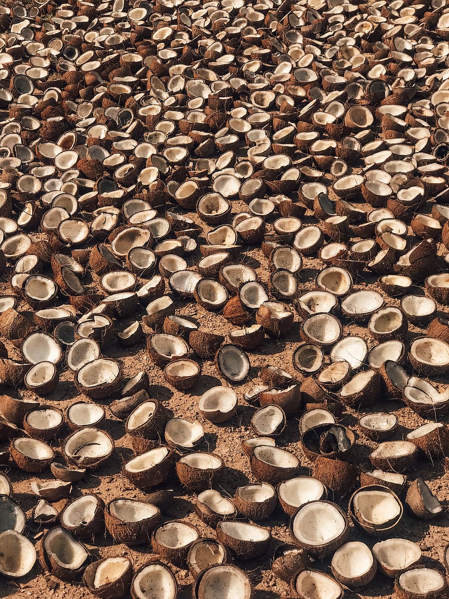 petxines de coco, planta, nou, vegetals, menjar, fruita, coco, catifa, asfalt, noguera, pancake, pa, acer, síndria, fusta, bronze, pastanaga, All, blat de moro, gran grup d'objectes, abundància, marc complet, fons, indústria de la fusta, cap gent, desforestació, pila, material de fusta, bosc, arbre, naturalesa, registre, menjar i beguda, marró, Finances, a l'interior, llenya, economia, 2K