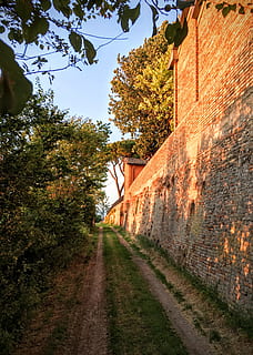 italia, เอมีเลีย, ถนน, Romagna, Cesena, โบสถ์, ต้นไม้, ประเทศ, ทาง, อิตาลี, ปลูก, ทิศทาง, ทางข้างหน้า, สถาปัตยกรรม, ภายนอกอาคาร, ท้องฟ้า, ธรรมชาติ, โครงสร้างที่สร้างขึ้น, ผนัง, วัน, มุมมองลดลง, ไม่มีคน, อาคาร, แสงแดด, ฟุตบาท, กลางแจ้ง, การขนส่ง, คุณสมบัติผนังอาคาร, ซอย, 4K, CC0, โดเมนสาธารณะ, ค่าลิขสิทธิ์ฟรี