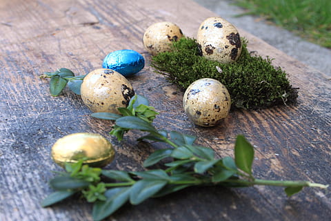 Ei, Eier, Ostern, Ostereier, farbig, Frühling, bunt, die tradition von, Lebensmittel, Dekoration, Brauch, Frühstück, Ferien, Wachteleier, Buchsbaum, Zusammensetzung, Tafel, Holz, Schokolade, rustikal, Textur, natürlich, Natur, Moos, Essen und Trinken, keine Leute, Nahansicht, selektiver Fokus, tierisches Ei, Pflanze, Stillleben, Blatt, Pflanzenteil, Feier, Urlaub, Tag, High Angle View, Holz - Material, Osterei, draußen, 4K, CC0, gemeinfrei, lizenzfrei