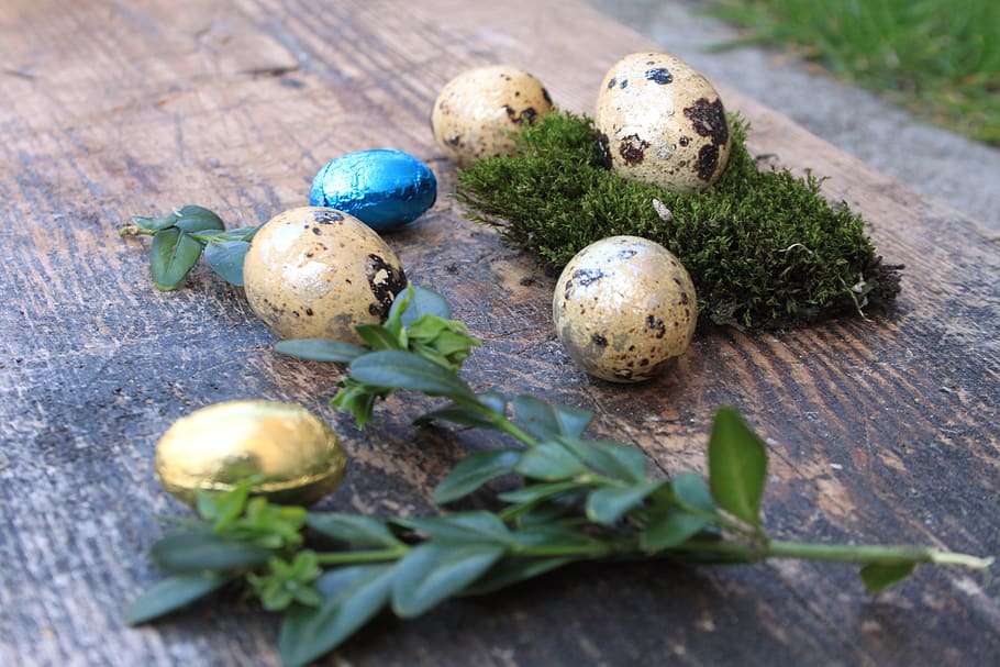 Ei, Eier, Ostern, Ostereier, farbig, Frühling, bunt, die tradition von, Lebensmittel, Dekoration, Brauch, Frühstück, Ferien, Wachteleier, Buchsbaum, Zusammensetzung, Tafel, Holz, Schokolade, rustikal, Textur, natürlich, Natur, Moos, Essen und Trinken, keine Leute, Nahansicht, selektiver Fokus, tierisches Ei, Pflanze, Stillleben, Blatt, Pflanzenteil, Feier, Urlaub, Tag, High Angle View, Holz - Material, Osterei, draußen, 4K