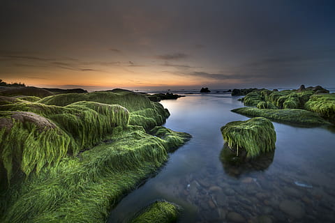 vista, riu, rock, cobert, verd, molsa, platja, roques, núvols, cloudscape, alba, vespre, tarda, molsa verda, horitzó, llac, paisatge, exposició llarga, roques molses, naturalesa, oceà, a l'aire lliure, reflexió, escènic, mar, paisatge marí, vora del mar, Riba, cel, skyscape, sol, posta de sol, viatjar, aigua, escenics - natura, bellesa a la natura, núvol - cel, tranquil·litat, escena tranquil·la, idíl·lic, color verd, cap gent, planta, escena no urbana, color taronja, terra, davant del mar, remot, 5K, CC0, domini públic, lliure de regalies