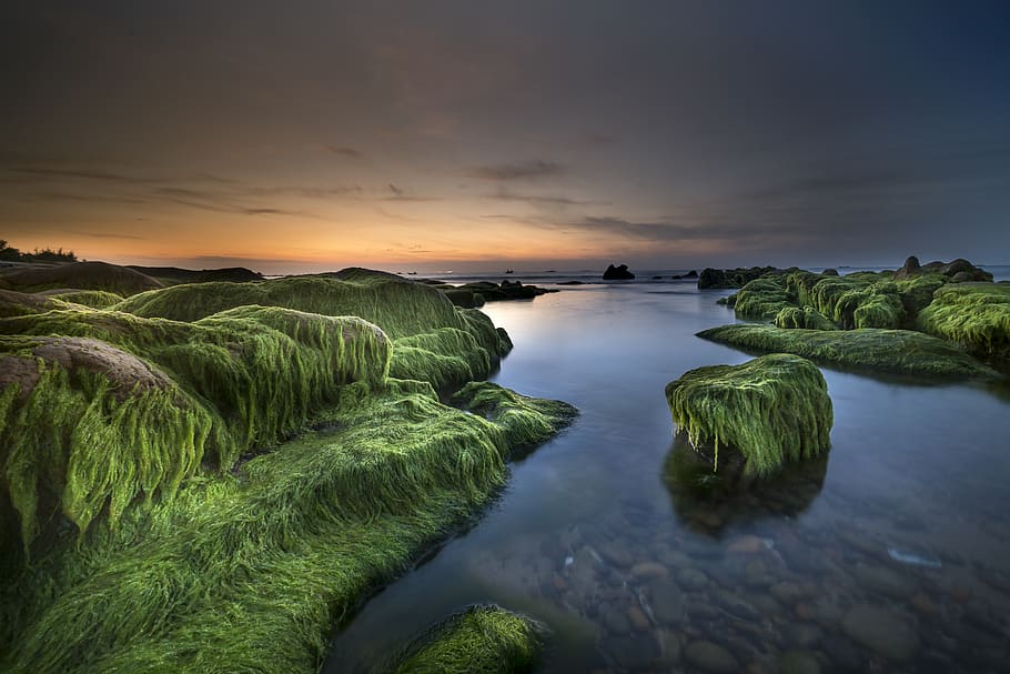 vista, riu, rock, cobert, verd, molsa, platja, roques, núvols, cloudscape, alba, vespre, tarda, molsa verda, horitzó, llac, paisatge, exposició llarga, roques molses, naturalesa, oceà, a l'aire lliure, reflexió, escènic, mar, paisatge marí, vora del mar, Riba, cel, skyscape, sol, posta de sol, viatjar, aigua, escenics - natura, bellesa a la natura, núvol - cel, tranquil·litat, escena tranquil·la, idíl·lic, color verd, cap gent, planta, escena no urbana, color taronja, terra, davant del mar, remot, 5K