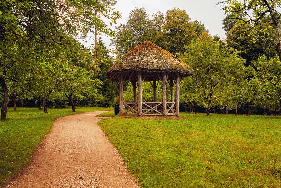 glorieta, paisatge, Camí, herba, tardor, arbres, llocs pushkin, excursió, viatjar, planta, arbre, color verd, creixement, naturalesa, cap gent, dia, terra, estructura construïda, bellesa a la natura, tranquil·litat, direcció, el camí a seguir, escena tranquil·la, arquitectura, parc, camp, sendera, a l'aire lliure, 5K