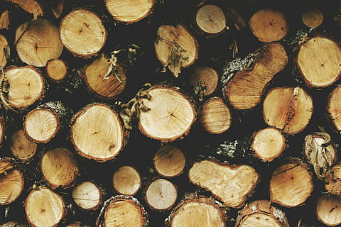 quick bread, horizontal, stack, sugar, heap, fruit, organic, cook, yellow, texture, health, cooking, bakery, passageway, eating, meal, deliciou, grain, pastry, nutrition, log, timber, full frame, firewood, wood, backgrounds, lumber industry, wood - material, large group of objects, tree, forest, abundance, deforestation, fuel and power generation, environmental issues, no people, fossil fuel, woodpile, outdoors, 2K, CC0, public domain, royalty free