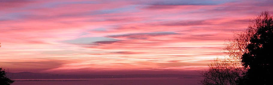 západ slunce, berkeley, Bay Area, soumrak, scénický, Kalifornie, Amerika, panoráma, nebe, mraky, mrak - nebe, krása v přírodě, scenics - příroda, růžová barva, dramatická obloha, Příroda, klid, klidné scény, nikdo, rostlina, krajina, strom, scéna s oblaky, idylický, životní prostředí, nachový, venku, romantické nebe, 4K