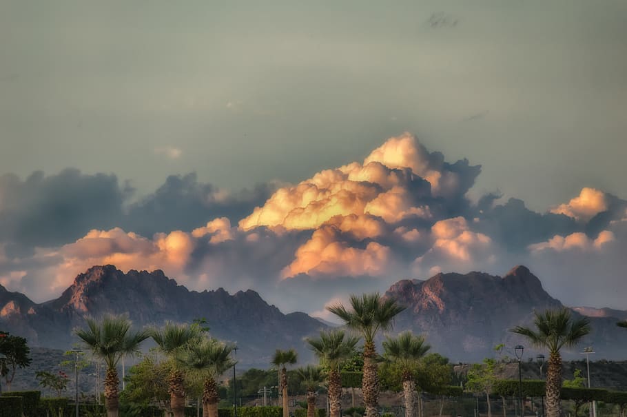 tempesta, núvol, cel, palmeres, clima, amenaça, dramàtica, terreros, almeria, núvol - cel, bellesa a la natura, escenics - natura, muntanya, arbre, tranquil·litat, planta, naturalesa, cap gent, escena tranquil·la, medi ambient, posta de sol, escena no urbana, a l'aire lliure, paisatge, dia, terra, idíl·lic, 5K