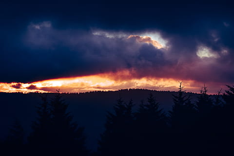 solnedgang, baggrundsbelyst, skyer, farve, mørk, daggry, dagslys, dramatisk, aften, tåge, landskab, lys, natur, naturskøn, himmel, storm, sol, vejr, sky - himmel, skønhed i naturen, scenics - natur, træ, miljø, rolig scene, silhuet, Skov, ro, ingen mennesker, plante, ikke-urbane scene, jord, bjerg, dramatisk himmel, udendørs, fyrretræ, magt i naturen, nåletræ, 5K, CC0, offentligt domæne, royaltyfrie