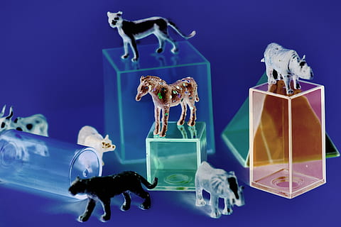 geassorteerde kleuren dierlijke illustraties, dieren, geassorteerd, dozen, detailopname, verzameling, kleurrijk, kleuren, ontwerp, olifant, figuren, beeldjes, nijlpaard, paard, leeuw, weinig, voorwerpen, plastic, vorm, solide, speelgoed, divers, vertegenwoordiging, studio opname, binnenshuis, onderwater-, blauw, gekleurde achtergrond, dierenleven, beeldje, menselijke representatie, zoogdier, zee, digitale composiet, geen mensen, blauwe achtergrond, groep dieren, mannelijke gelijkenis, angst, agressie, marinier, 4K, CC0, publiek domein, royaltyvrij