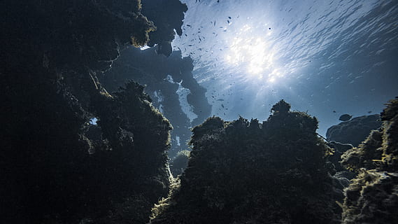 under vannutsikt, natur, himmel, lav vinkel visning, skjønnhet i naturen, sky - himmel, stein, ingen folk, naturskjønnhet - natur, hav, vann, utendørs, rock-objekt, tre, silhouette, anlegg, ro, utforskning, rolig scene, dag, 2K, CC0, offentlig domene, opphavsrett gratis