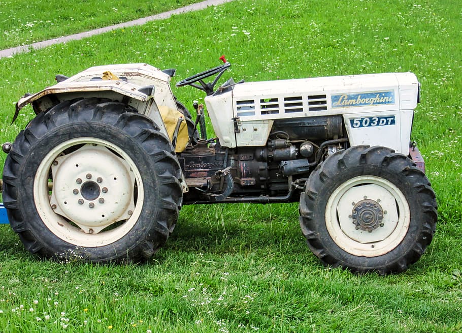 tractors, lamborghini, oldtimer, vehicle terrestre, transport, manera de transport, herba, dia, color verd, roda, planta, camió, terra, cap gent, pneumàtic, camp, naturalesa, automòbil, a l'aire lliure, metall, estacionari, vell, maquinària, 4K