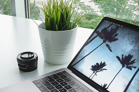 rapid, plantă, de codificare, calculator, minim, Mac, carte, pro, macbook, obiectiv, trusă, Sony, Sony a6000, sony alpha, alfa, sigma, simga1.4, 1.3, 1.4, f, tehnologie, laptop, tehnologia fără fir, masa, natură, comunicare, planta in ghiveci, nici o persoana, creştere, conexiune, în interior, zi, a închide, planta suculentă, cactus, dispozitiv portabil de informații, plantă de casă, tastatură, 5K, CC0, domeniu public, fără drepturi de autor