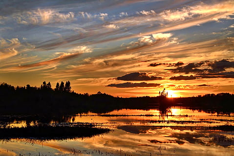 silhouette, trees, dawn, beach, clouds, daylight, evening, landscape, nature, quebec, reflection, scenic, sky, summer, sun, sunset, water, cloud - sky, beauty in nature, tranquility, scenics - nature, tranquil scene, orange color, lake, no people, idyllic, tree, plant, non-urban scene, sunlight, outdoors, romantic sky, 5K, CC0, public domain, royalty free