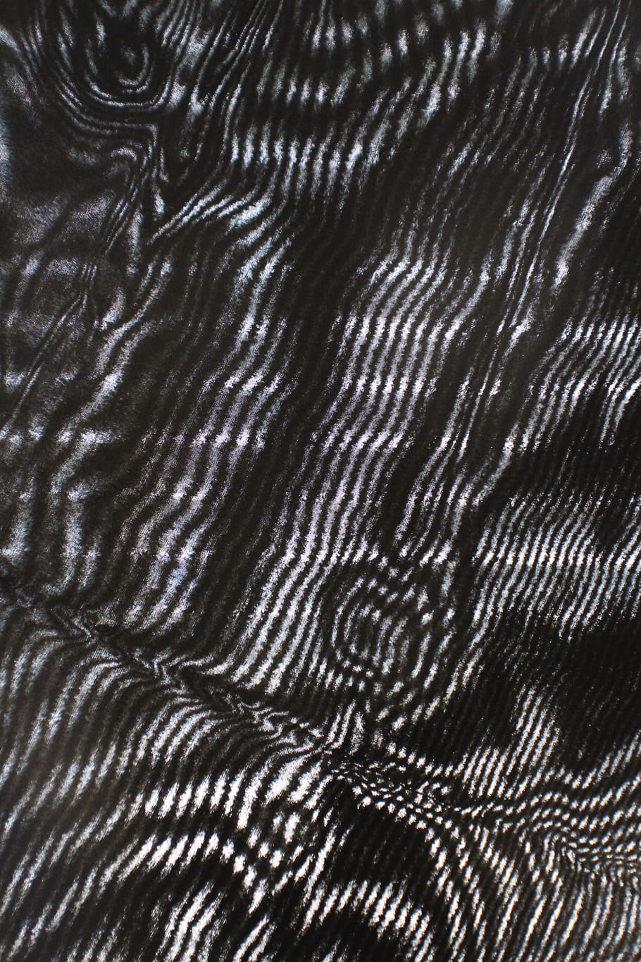 Stoff, Fenster, Licht, Wellen, wellig, Design, zufällig, schwarz, Weiß, Kunst, Zebra, Jalousie, Muster, Vollbild, Hintergründe, keine Leute, texturiert, natürliches Muster, Natur, gewellt, abstrakt, schwarze Farbe, Tier, Nahansicht, Tierthemen, Schönheit in der Natur, Einfachheit, Wasser, dunkel, konzentrisch, draußen, extreme Nahaufnahme, abstrakte Hintergründe, 5K