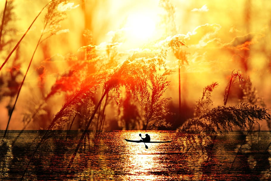 posta de sol, aigua, reflexió, plûmes, vaixell, silueta, fantasia, escènic, ambient nocturn, color taronja, vaixell nàutic, bellesa a la natura, cel, arbre, naturalesa, llum solar, tranquil·litat, transport, escenics - natura, escena tranquil·la, davant del mar, planta, manera de transport, llac, sol, a l'aire lliure, 4K