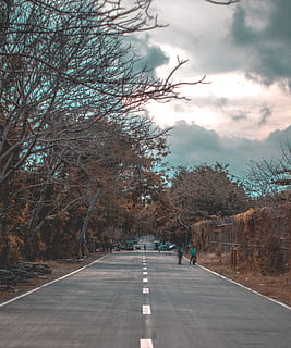 photo, road, trees, asphalt, clouds, cloudy sky, environment, fence, guidance, landscape, lane, light, nature, people, sky, weather, woods, tree, the way forward, plant, direction, transportation, cloud - sky, day, bare tree, real people, diminishing perspective, street, city, sign, outdoors, autumn, lifestyles, road marking, treelined, change, 4K, CC0, public domain, royalty free