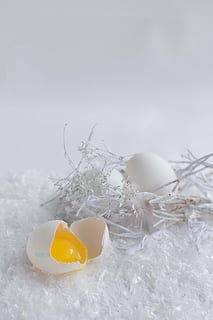 ou, alb, Paști, comestibil, paie, natură moartă, nici o persoana, a închide, mancare si bautura, natură, culoare alba, alimente, prospeţime, eggshell, temperatura rece, vulnerabilitate, în aer liber, fragilitate, gălbenuș de ou, să se concentreze asupra primelor elemente, zăpadă, iarnă, galben, frumusețe în natură, 2K, CC0, domeniu public, fără drepturi de autor