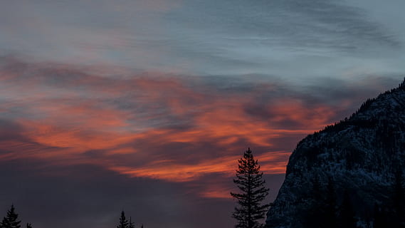 munte în timpul apusului, răsărit, natură, cer, copac, apus de soare, zori de zi, amurg, în aer liber, cer roșu, Banff, Canada, banff centru pentru arte și creativitate, peisaj, Munte, conifer, floră, plantă, larice, minim, nor - cer, frumusețe în natură, scenice - natura, o scenă liniștită, liniște, nici o persoana, vedere unghiulară joasă, siluetă, culoare portocalie, idilic, scenă non-urbană, dramatic cer, 4K, CC0, domeniu public, fără drepturi de autor