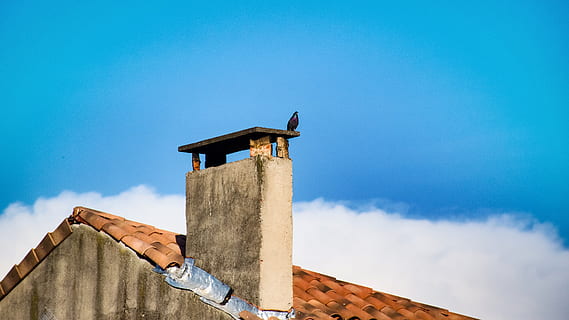 manosque, Piccione, Pila di camini, tetto, nuvole, cielo blu, provence, Francia, Europa, rustico, cielo glorioso, orizzonte, nuvoloso, glorioso, unico, unico nel suo genere, originale, skyscape, maestoso, sud della Francia, Francia meridionale, astratto, Esplorare, vacanza in vacanza, Alpes-de-Haute-Provence, architettura, cielo, struttura costruita, esterno dell'edificio, Inquadratura dal basso, costruzione, giorno, nuvola - cielo, natura, copia spazio, blu, temi animali, un animale, animale, all'aperto, nessuno, Casa, camino, tegola, 4K, CC0, dominio pubblico, privo di copyright