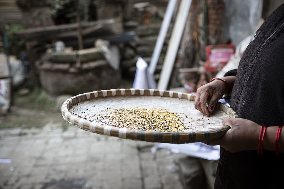safata marró, humà, persona, planta, nepal, bhaktapur, menjar, Katmandú, produir, dit, vegetals, gra, llavor, arbre, vestit, roba, mobles, tradicions, vivent, gent, una persona, mà humana, mà, persones reals, celebració, menjar i beguda, part del cos humà, mercat, arquitectura, centrar-se en primer pla, secció mitjana, negoci petit, negocis, estructura construïda, homes, dia, estri de cuina, frescor, a l'aire lliure, mercat de carrer, 2K