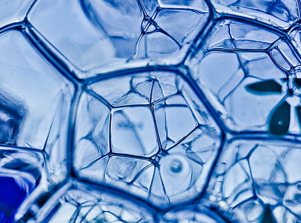 närbild, fotografi, vattenbubblor, blå, bubbla, textur, vatten, mönster, abstrakt, tapet, texturerad, form, våt, flytande, tvål, geometri, bakgrunder, extrem närbild, inget folk, makro, full ram, inomhus, studio skott, vetenskap, natur, tvål sud, abstrakt bakgrund, förstoring, biologi, komplexitet, genetisk forskning, 4K, CC0, offentligt domän, royaltyfria