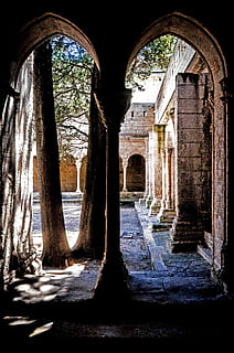 arceau vide, cambre, architecture, le passé, l'histoire, structure construite, journée, colonne architecturale, personne, bâtiment, la nature, arbre, vieux, à l'intérieur, lumière du soleil, Destinations de voyage, ancien, religion, Voyage, plante, arqué, une abbaye, ruiné, 4K, CC0, domaine public, libre de droits