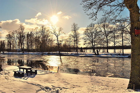 bar, träd, kropp, vatten, moln, kall, gryning, dagsljus, skymning, kväll, falla, frysta, gyllene timmen, is, sjö, landskap, ljus, natur, utomhus, parkera, reflexion, flod, naturskön, snö, Sol, solljus, solig, solstrålar, soluppgång, solnedgång, Sverige, resa, vinter-, trä, himmel, kall temperatur, växt, nakna träd, skönhet i naturen, inget folk, scenics - natur, lugn, 2K, CC0, offentligt domän, royaltyfria