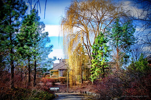 verd, arbre, blau, ennuvolat, cel, hora del dia, edifici, Camí, arbres, planta, arquitectura, estructura construïda, exterior de l'edifici, naturalesa, casa, cap gent, dia, barri residencial, creixement, a l'aire lliure, branca, bosc, terra, arbre nu, núvol - cel, 1080P, CC0, domini públic, lliure de regalies