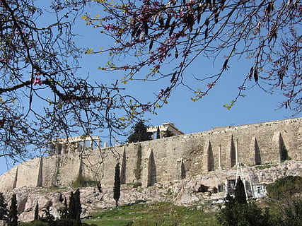 Akropolis, die Architektur, gebaute Struktur, Baum, Geschichte, die Vergangenheit, Gebäudehülle, Pflanze, Himmel, Gebäude, Natur, Flachwinkelansicht, Tag, Sonnenlicht, keine Leute, Ast, Reiseziele, Schloss, klarer Himmel, uralt, draußen, Steinwand, 4K, CC0, gemeinfrei, lizenzfrei