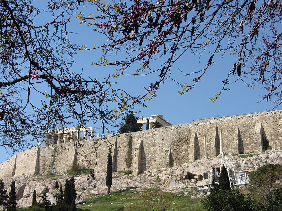 acropoli, architettura, struttura costruita, albero, storia, il passato, esterno dell'edificio, pianta, cielo, costruzione, natura, Inquadratura dal basso, giorno, luce del sole, nessuno, ramo, destinazioni di viaggio, castello, cielo sereno, antico, all'aperto, muro di pietra, 4K