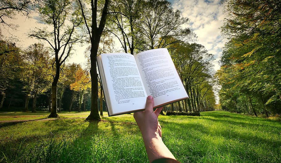 llibre, retinguda, un, mà, lectura, parc, bonic, dia., llegir, posta de sol, jardí, herba, educació, dom, història, coneixement, informació, diccionari, estudiar, paisatge, arbres, naturalesa, retroiluminació, , planta, arbre, una persona, celebració, publicació, creixement, color verd, persones reals, dia, part del cos humà, terra, mà humana, camp, a l'aire lliure, 2K